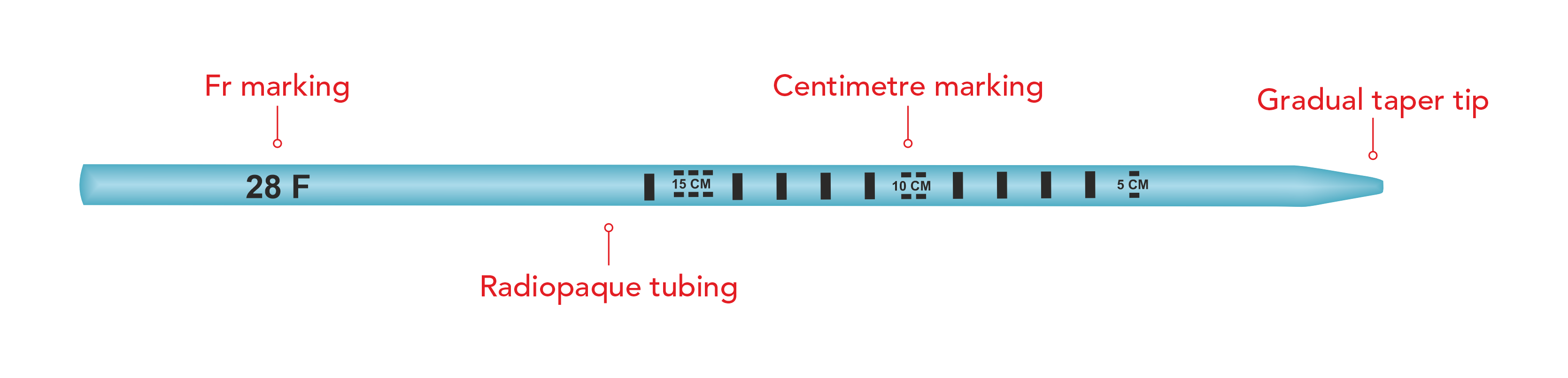 ARMADA Renal Dilator
