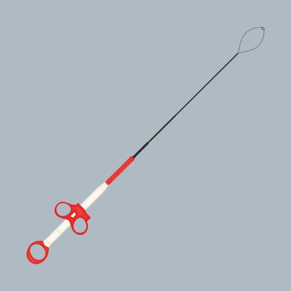 Captura Stent Remover Snare