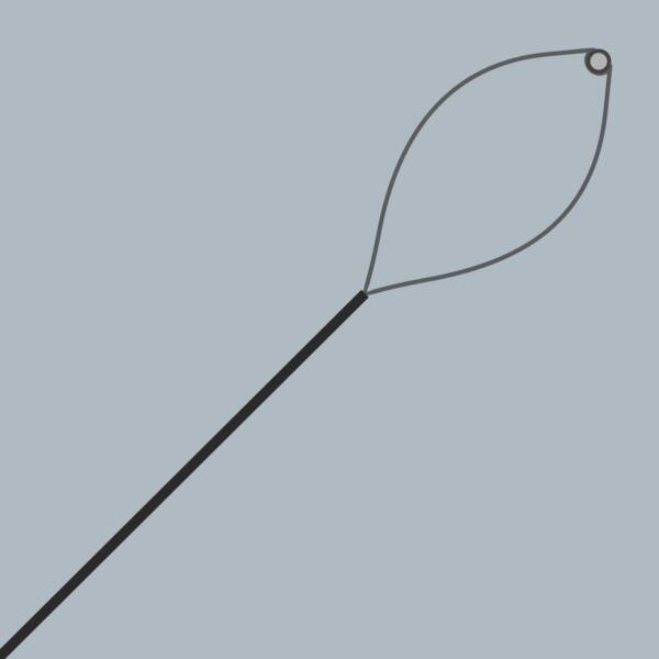 Captura Stent Remover Snare - Image 2