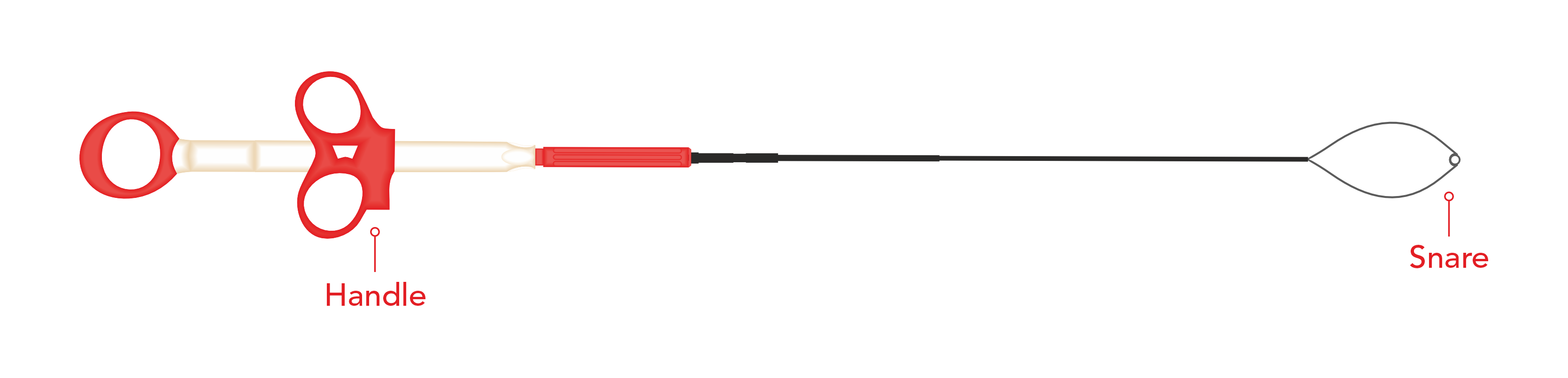 Captura Stent Remover Snare