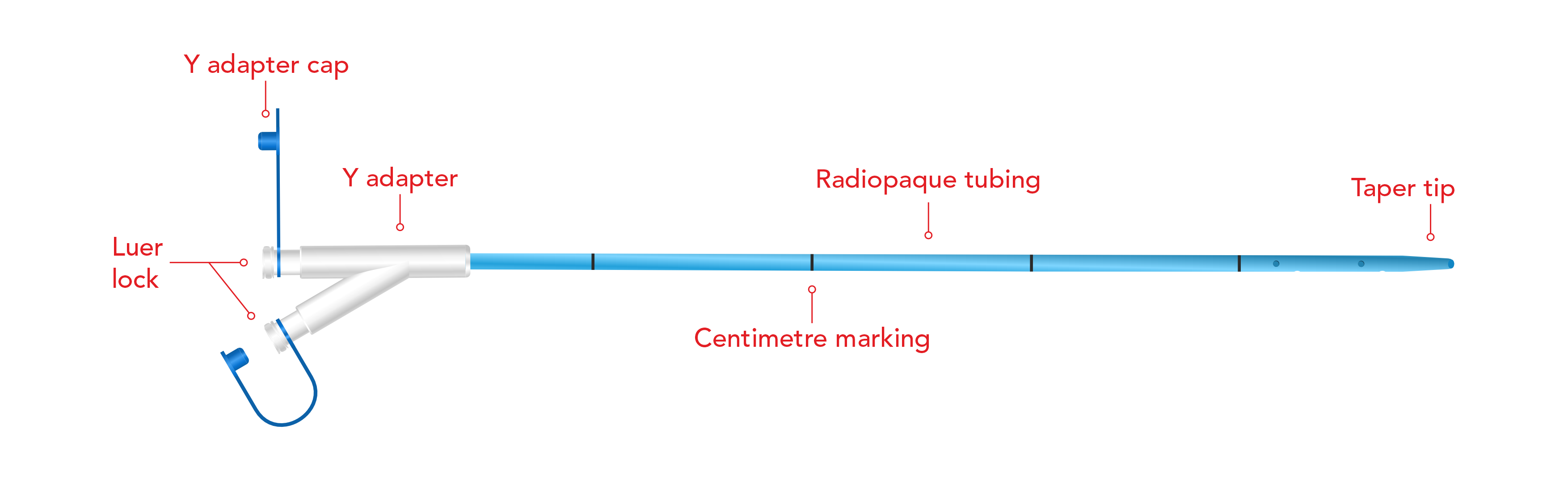ENJFT – Endoscopic Naso Jejunal Feeding Tube