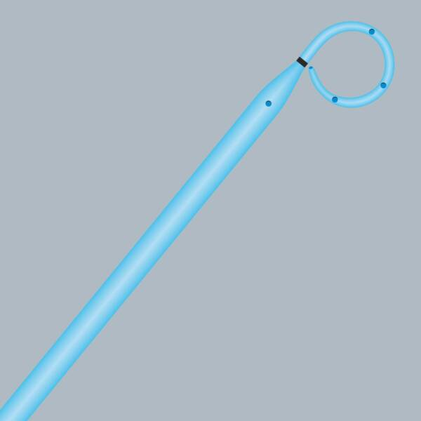 Endopyelotomy Stent - Image 2