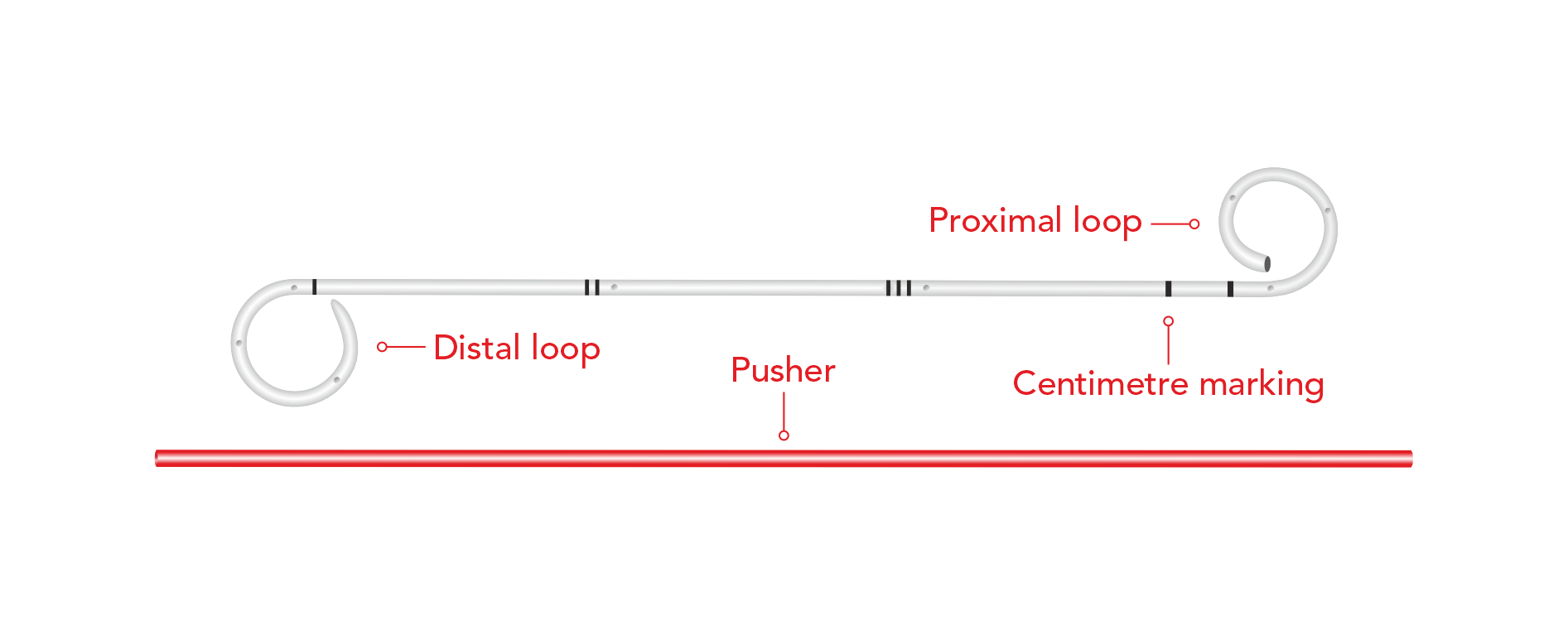 R+ Renal Transplant Stent (Open Tip & Closed Tip)