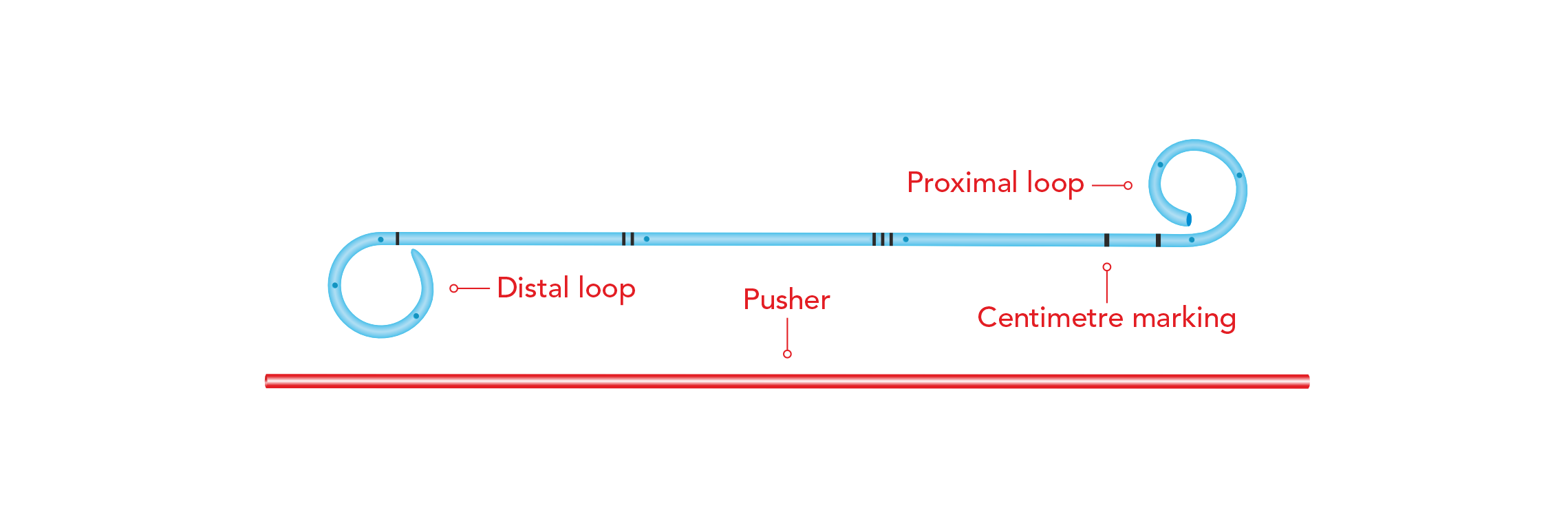 allSoft Renal Transplant Stent (Open Tip & Closed Tip)